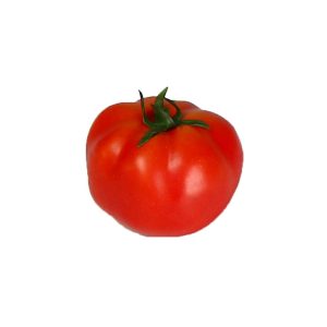 עגבניה לתצוגה (ליחידה)