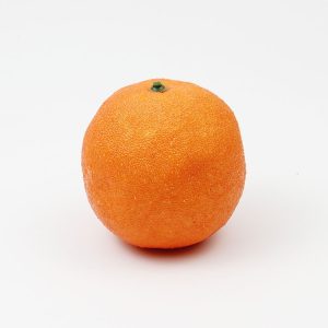 תפוז לתצוגה (ליחידה)